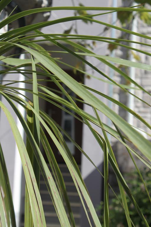 Apartman Kristina, Studio I Soba Primošten Exteriér fotografie